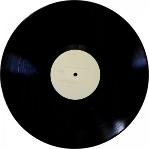 ALAN RANKINE The Big Picture Sucks (Les Disques Du Crépuscule – TWI 869) Belgium 1989 Test-Pressing LP (ex-Associates)